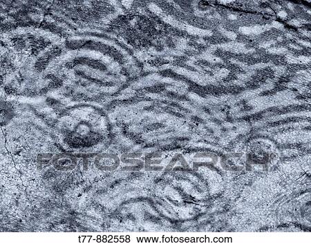 Rain drops falling in rain water View Large Photo Image Stock Photo - Rain drops falling in rain water. Fotosearch