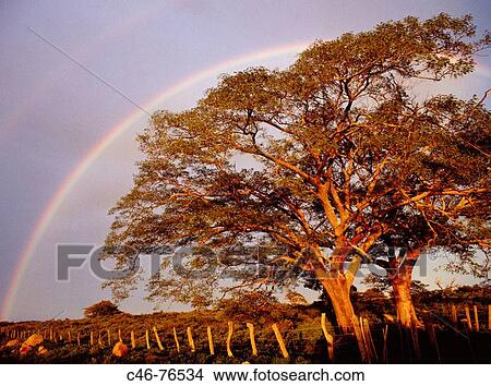 Rainbow, Rinc? n de la Vieja National Park. Costa Rica View Large Photo Image Picture - Rainbow, Rinc? n de la Vieja National Park. Costa Rica. Fotosearch