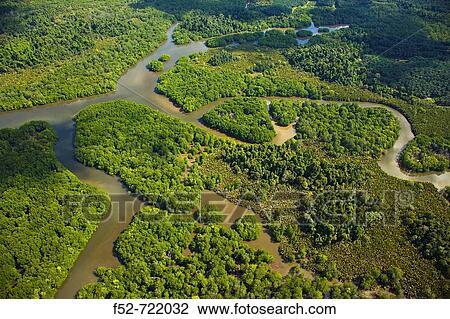 Rainforest and Kinabatangan River, Sabah, Borneo island, Malaysia View Large Photo Image Stock Image - Rainforest and Kinabatangan River, Sabah, Borneo island, Malaysia. Fotosearch