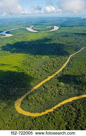 Rainforest and Kinabatangan River, Sabah, Borneo island, Malaysia View Large Photo Image Stock Photography - Rainforest and Kinabatangan River, Sabah, Borneo island, Malaysia. Fotosearch