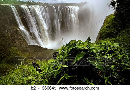 Rainforest, Victoria Falls, Zimbabwe View Large Photo Image Stock Photography - Rainforest, Victoria Falls, Zimbabwe. Fotosearch