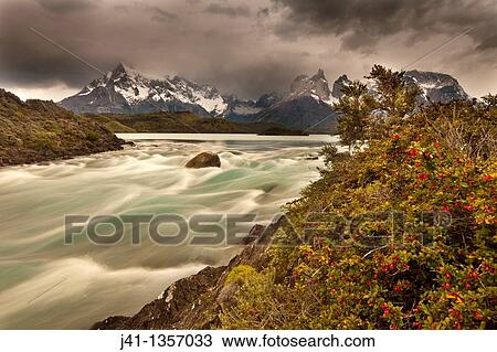 Rainstorm engulfs Cuernos del Paine peaks, Lago Pehoe rapids,? Seven shirts - siete camisas colorado? in flower Escallonia rubra, Parque Nacional Torres del Paine, Patagonia, Chile. View Large Photo Image Stock Image - Rainstorm engulfs Cuernos del Paine peaks, Lago Pehoe rapids,? Seven shirts - siete camisas colorado? in flower Escallonia rubra, Parque Nacional Torres del Paine, Patagonia, Chile.. Fotosearch
