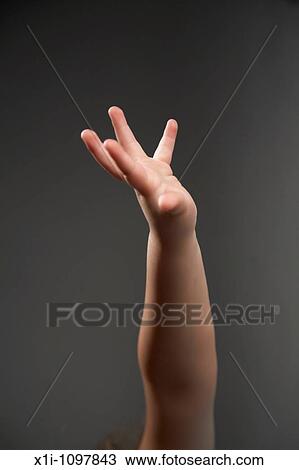 Raised arm View Large Photo Image Stock Image - Raised arm. Fotosearch