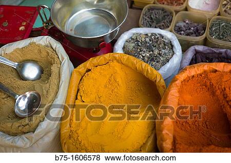 Rajasthan, India, Asia, Species View Large Photo Image Stock Photo - Rajasthan, India, Asia, Species. Fotosearch