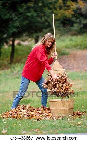 Stock Photo - Raking leaves. Fotosearch