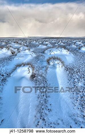 Stock Photo - Rangipo desert after snow storm, Mt Ruapehu covered by blizzard and cloud, Tongariro National Park.. Fotosearch