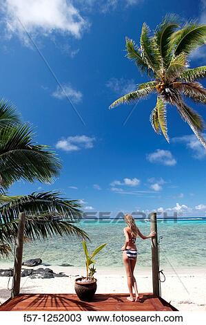Rarotonga, The Cook Islands View Large Photo Image Stock Image - Rarotonga, The Cook Islands. Fotosearch