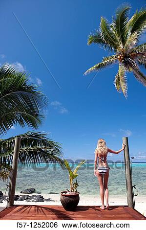 Rarotonga, The Cook Islands View Large Photo Image Stock Photograph - Rarotonga, The Cook Islands. Fotosearch