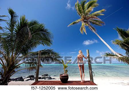 Rarotonga, The Cook Islands View Large Photo Image Stock Photography - Rarotonga, The Cook Islands. Fotosearch