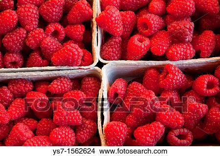 Picture - Raspberries in boxes sold in a street market in Frankfurt, Germany, Europe. Fotosearch