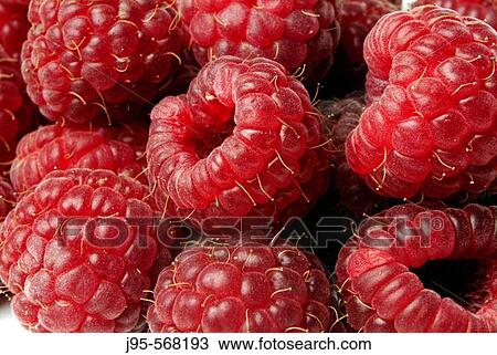 Raspberries View Large Photo Image Stock Image - Raspberries. Fotosearch