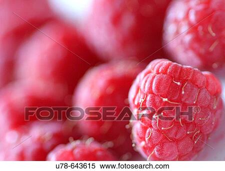Stock Photography - Raspberries. Fotosearch