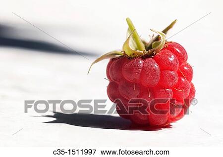Raspberry View Large Photo Image Stock Photo - Raspberry. Fotosearch