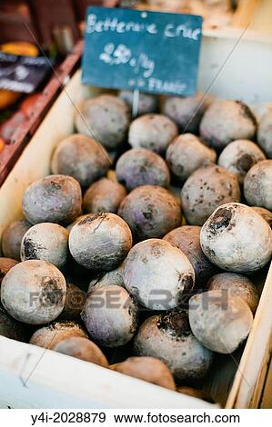Raw Beets. View Large Photo Image Stock Photo - Raw Beets.. Fotosearch