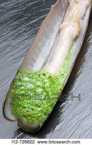 Razor shell with parsley and garlic foam at restaurant El Mercadito by Gonzalo Rey, Santiago de Compostela. La Corua province, Galicia, Spain View Large Photo Image Stock Image - Razor shell with parsley and garlic foam at restaurant El Mercadito by Gonzalo Rey, Santiago de Compostela. La Corua province, Galicia, Spain. Fotosearch