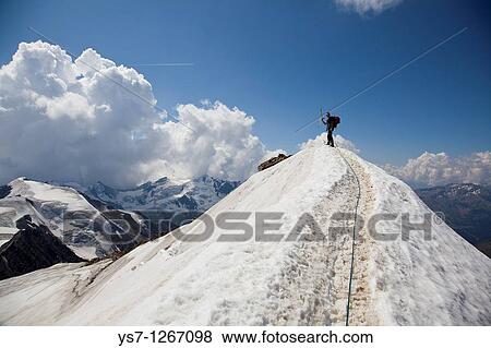 Stock Photo - Reaching the summit of Mount Cevedale, 3769 m, Alps, Lombardy, Trentino Alto Adige, Italy. Fotosearch