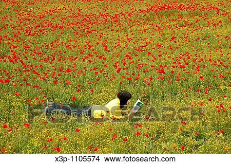 Reading a book in a poppies field. View Large Photo Image Picture - Reading a book in a poppies field.. Fotosearch