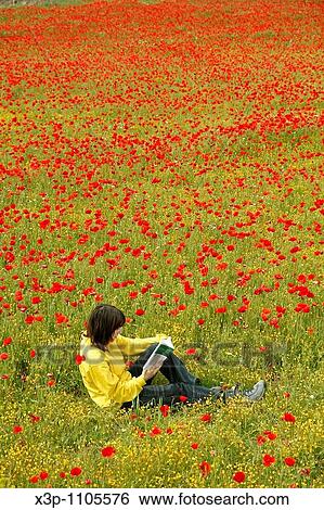 Reading a book in a poppies field. View Large Photo Image Stock Photograph - Reading a book in a poppies field.. Fotosearch