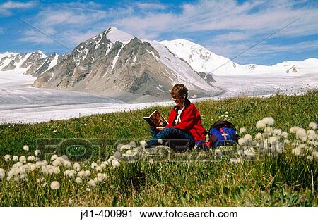 Stock Image - Reading among bog cotton flower-filled terrace beside glacier, Tavan Bogd Uul base camp. Altai mountains, Western Mongolia. Fotosearch