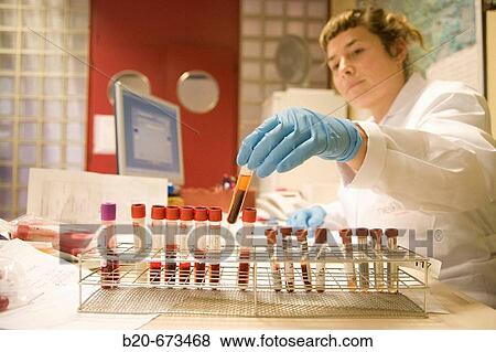 Stock Photo - Reception of blood and serum samples, Neiker Tecnalia, Instituto de Investigaci? n y Desarrollo Agrario, Ganadero, Forestal y del Medio Natural, Derio, Bizkaia, Euskadi, Spain. Fotosearch