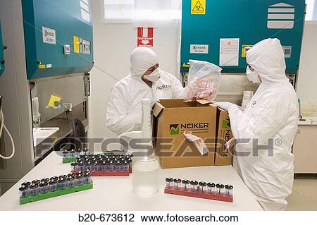 Stock Image - Reception of mad cow disease samples, Laboratory of Bio-Safety Level P3, Departamento de Producci? n y Sanidad Animal, Neiker Tecnalia, Instituto de Investigaci? n y Desarrollo Agrario, Ganadero, Forestal y del Medio Natural, Euskadi, Spain. Fotosearch