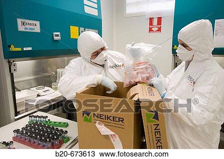 Reception of mad cow disease samples, Laboratory of Bio-Safety Level P3, Departamento de Producci? n y Sanidad Animal, Neiker Tecnalia, Instituto de Investigaci? n y Desarrollo Agrario, Ganadero, Forestal y del Medio Natural, Euskadi, Spain View Large Photo Image Stock Image - Reception of mad cow disease samples, Laboratory of Bio-Safety Level P3, Departamento de Producci? n y Sanidad Animal, Neiker Tecnalia, Instituto de Investigaci? n y Desarrollo Agrario, Ganadero, Forestal y del Medio Natural, Euskadi, Spain. Fotosearch