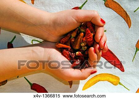 Red Chili pepppers, M R View Large Photo Image Stock Photography - Red Chili pepppers, M R. Fotosearch