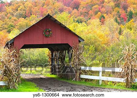 Red Covered Bridge in Autumn with Corn Stalks and Foliage, Stowe, Vermont, USA View Large Photo Image Picture - Red Covered Bridge in Autumn with Corn Stalks and Foliage, Stowe, Vermont, USA. Fotosearch
