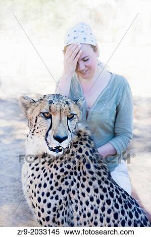 Red-haired woman laughing at a cheetah in the Karoo desert of South Africa. View Large Photo Image Stock Photography - Red-haired woman laughing at a cheetah in the Karoo desert of South Africa.. Fotosearch