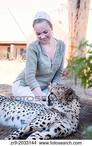 Red-haired woman touching a cheetah in the Karoo desert of South Africa. View Large Photo Image Picture - Red-haired woman touching a cheetah in the Karoo desert of South Africa.. Fotosearch