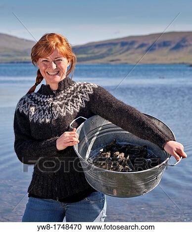 Stock Image - Red headed woman havesting mussels, Hvalfjordur, Iceland. Fotosearch