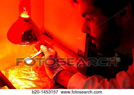 Stock Photo - Red lighting, polymers composition and characterization, Technology Research Center, Tecnalia Construction, CIDEMCO-Tecnalia Research & Innovation, development of new products and innovative solutions through research and innovation. Fotosearch