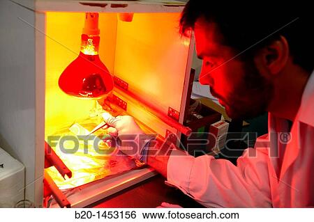 Red lighting, polymers composition and characterization, Technology Research Center, Tecnalia Construction, CIDEMCO-Tecnalia Research & Innovation, development of new products and innovative solutions through research and innovation View Large Photo Image Stock Photograph - Red lighting, polymers composition and characterization, Technology Research Center, Tecnalia Construction, CIDEMCO-Tecnalia Research & Innovation, development of new products and innovative solutions through research and innovation. Fotosearch