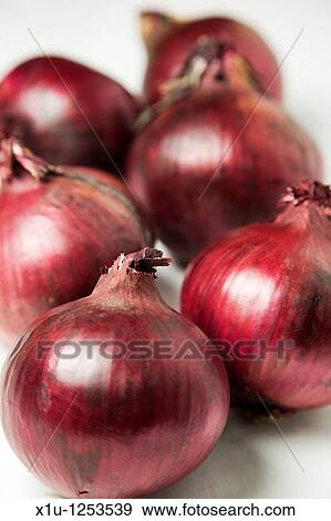 Red Onions and a White Background View Large Photo Image Stock Photo - Red Onions and a White Background. Fotosearch