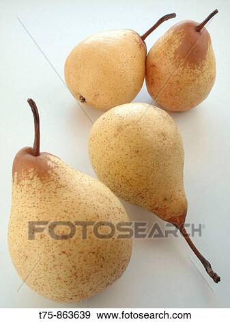 Red Pear View Large Photo Image Stock Photo - Red Pear. Fotosearch