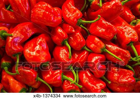 Red peppers at La Boqueria market hall central Barcelona Catalunya Spain Europe View Large Photo Image Picture - Red peppers at La Boqueria market hall central Barcelona Catalunya Spain Europe. Fotosearch