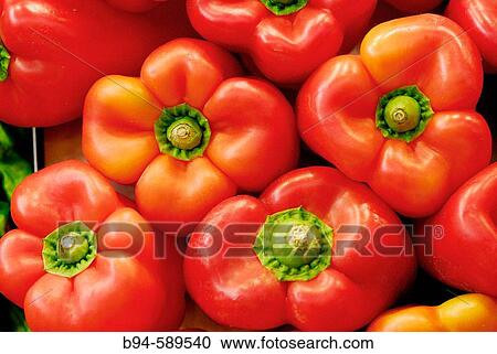 Red peppers at La Boqueria market, Barcelona. Catalonia, Spain View Large Photo Image Stock Image - Red peppers at La Boqueria market, Barcelona. Catalonia, Spain. Fotosearch