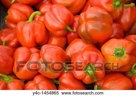 Red peppers at stand at farmers market View Large Photo Image Stock Photography - Red peppers at stand at farmers market. Fotosearch
