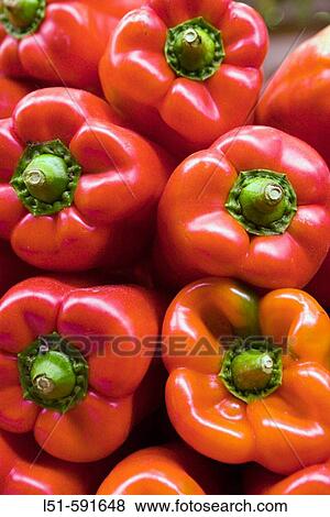 Stock Photo - Red peppers for sale at market, Ruzafa quarter, Valencia. Comunidad Valenciana, Spain. Fotosearch