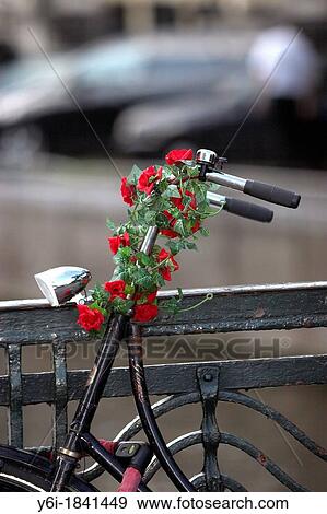 Red plastic roses decorate the stem and handle bars of bicycle Amsterdam The Netherlands View Large Photo Image Stock Photo - Red plastic roses decorate the stem and handle bars of bicycle Amsterdam The Netherlands. Fotosearch