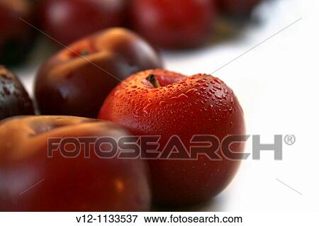 red plums fruit View Large Photo Image Stock Photo - red plums fruit. Fotosearch
