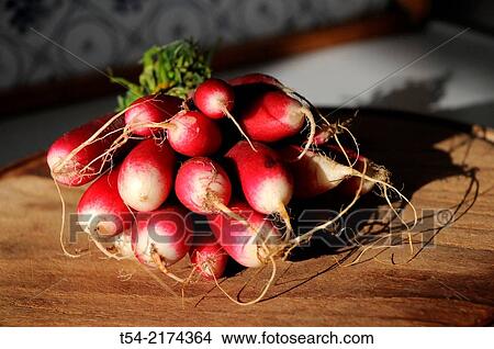 Red radishes on a wooden board View Large Photo Image Picture - Red radishes on a wooden board. Fotosearch