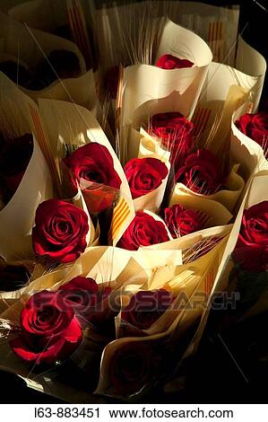 Red roses, St George's Day Catalan holiday View Large Photo Image Stock Image - Red roses, St George's Day Catalan holiday. Fotosearch