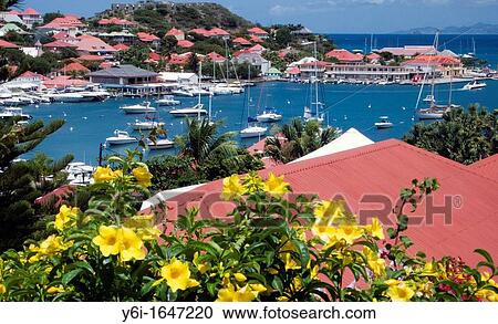 Red tin roof buildings surround Gustavia port St Barts View Large Photo Image Stock Image - Red tin roof buildings surround Gustavia port St Barts. Fotosearch