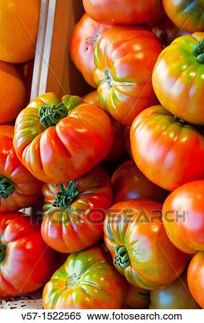 Red tomatoes. Close view. View Large Photo Image Stock Photography - Red tomatoes. Close view.. Fotosearch