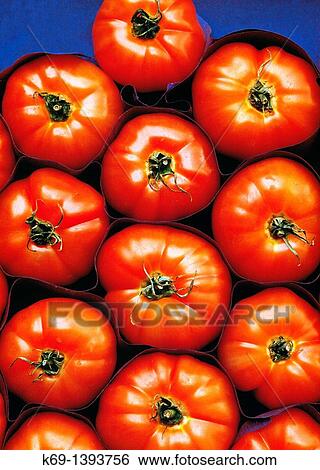 Red Tomatoes on shelf display at a food store. View Large Photo Image Stock Photograph - Red Tomatoes on shelf display at a food store.. Fotosearch