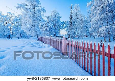 Red wooden fence, Wintertime, Jukkasjarvi, Lapland, Sweden. Cold temperatures as low as -47 celsius. View Large Photo Image Stock Photo - Red wooden fence, Wintertime, Jukkasjarvi, Lapland, Sweden. Cold temperatures as low as -47 celsius.. Fotosearch