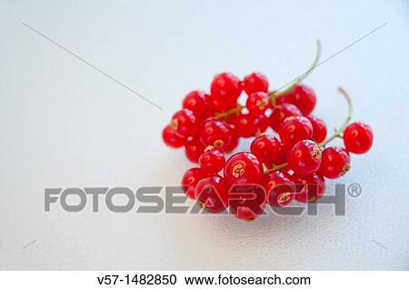 Stock Image - Redcurrant bunch. Close view.. Fotosearch