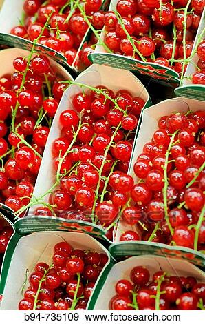 Redcurrants for sale at La Boqueria market, Barcelona. Catalonia, Spain View Large Photo Image Stock Photo - Redcurrants for sale at La Boqueria market, Barcelona. Catalonia, Spain. Fotosearch