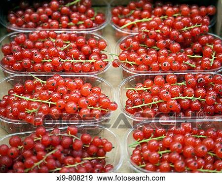 Stock Photo - Redcurrants in La Boqueria market, Barcelona. Catalonia, Spain. Fotosearch